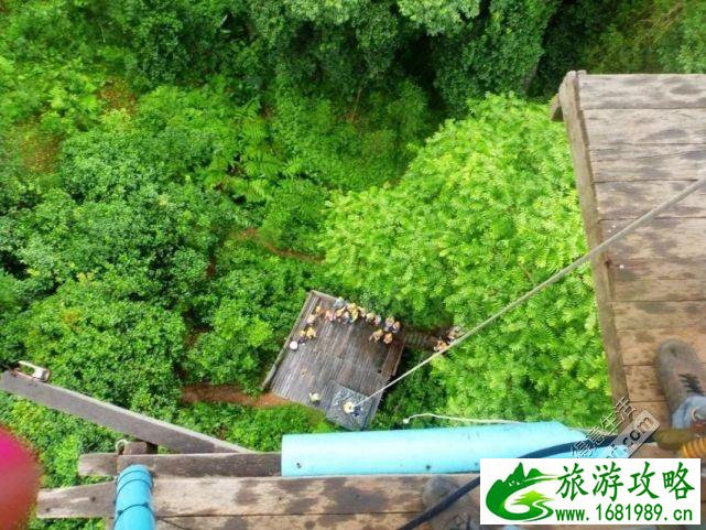 西双版纳5天4晚自由行攻略_西双版纳五天四晚自由行旅游攻略