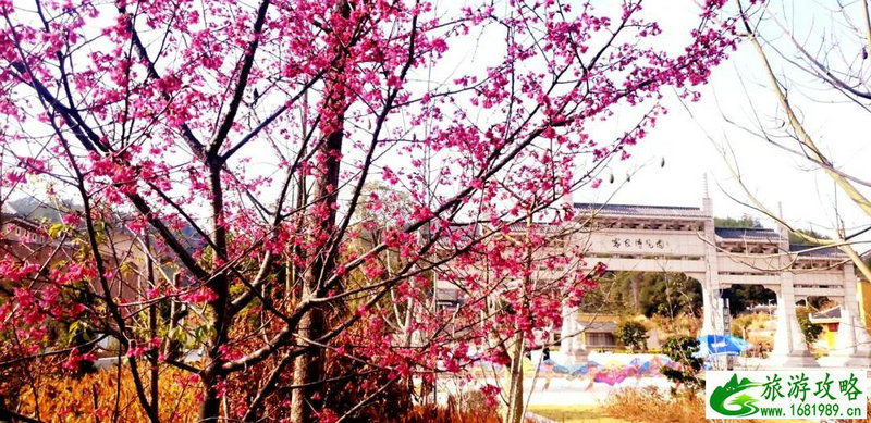 厦门景点大全_厦门景点大全景