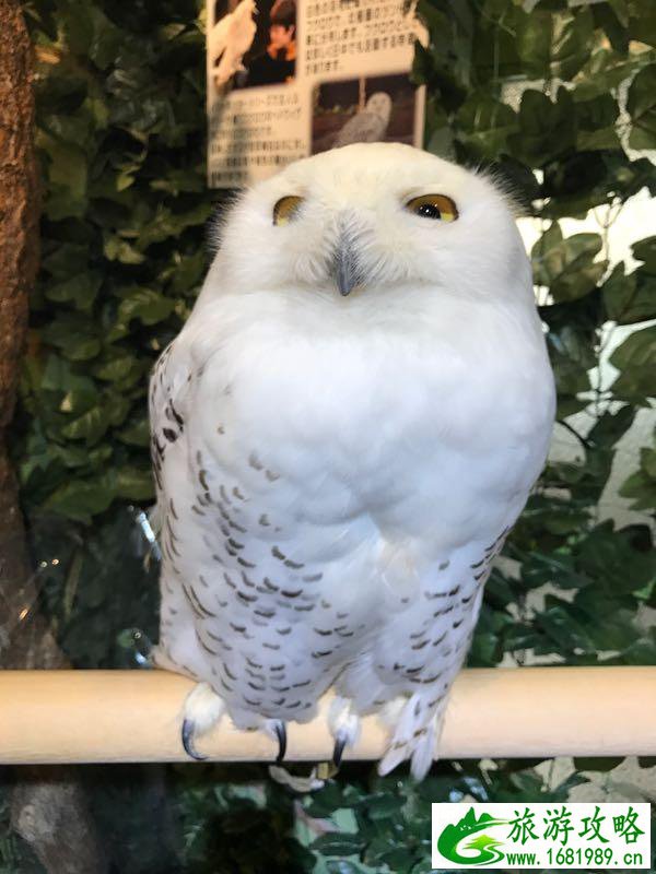 神龙水世界(神龙水世界处置) 神龙水世界(神龙水世界处置)