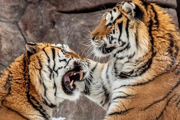2017年旅游节攻略(今年旅游节)