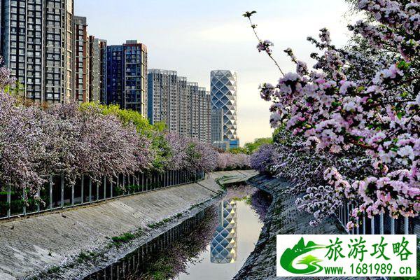 合肥博物馆(合肥博物馆三星堆) 合肥博物馆(合肥博物馆三星堆)