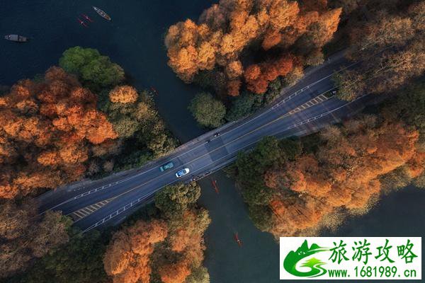 陕西大熊猫基地在哪里(陕西大熊猫保护基地)