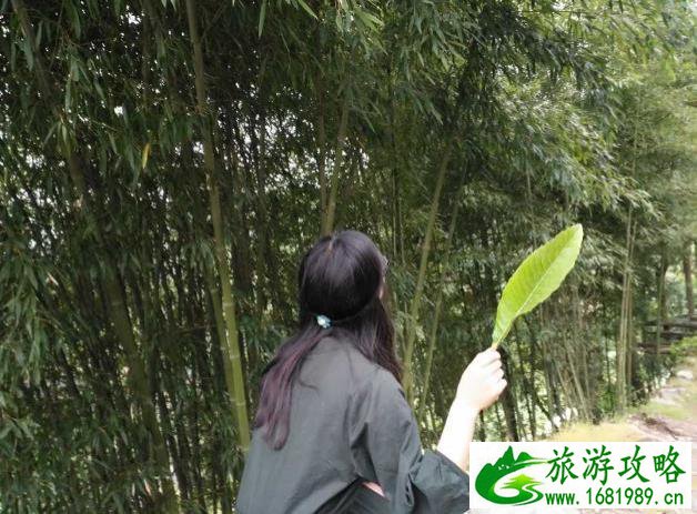 最新天气预报未来15 天 山东青岛一周天气预报山东青岛一周天气预报30天