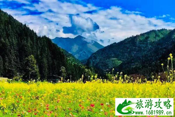 庐山攻略三日游价格是多少_庐山攻略三日游价格是多少钱