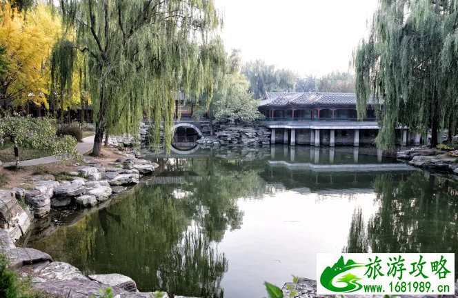 吴谨言个人资料简介结婚