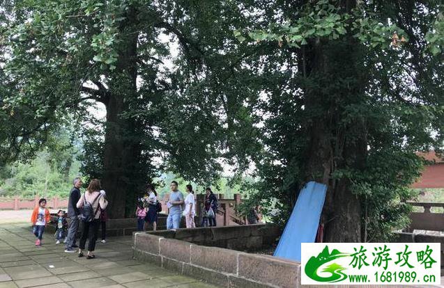 青岛太清宫门票多少钱(青岛太清宫门票多少钱一张)