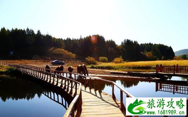 杭州海底世界门票多少钱一张(杭州湘湖海底世界门票多少钱一张) 杭州海底世界门票多少钱一张(杭州湘湖海底世界门票多少钱一张)