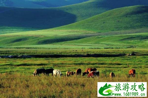 西安大唐不夜城门票多少钱