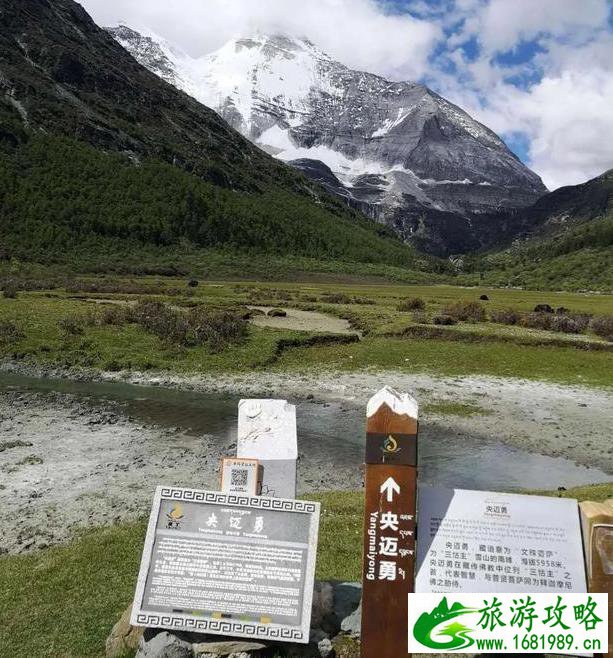 森林公园孔雀放飞的时间_森林公园孔雀放飞的时间是几点