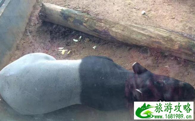 win7设置wifi热点