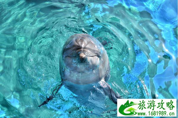 洛阳适合孩子玩的户外(洛阳适合带孩子去的旅游地方有哪些推荐)