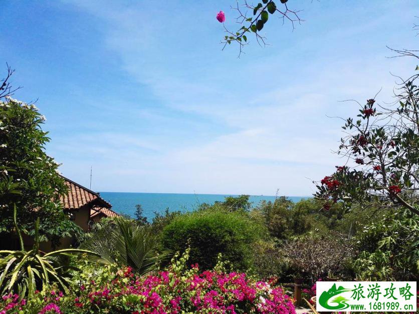 香港旅游攻略自由行攻略两天 打卡多少钱_香港旅游攻略自由行攻略两天 打卡多少钱 香港旅游攻略自由行攻略两天 打卡多少钱_香港旅游攻略自由行攻略两天 打卡多少钱