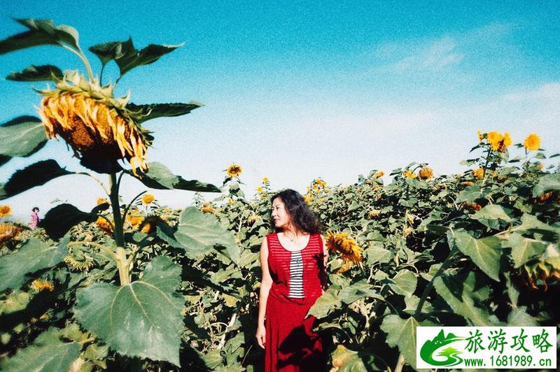 龙陵县旅游景点(龙陵县十大旅游景点)