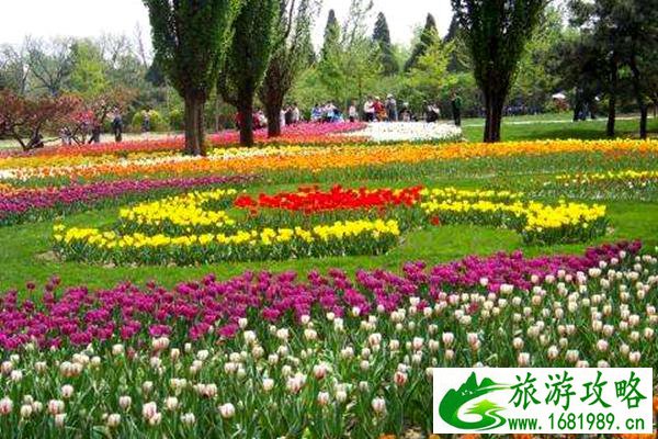 广西长寿村巴马(广西长寿村巴马简介)