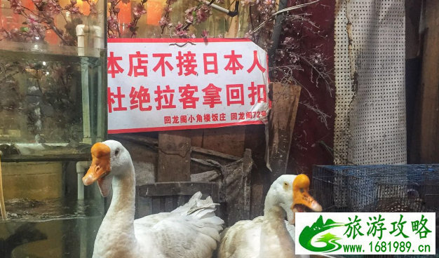 南京红山动物园门票(南京红山动物园门票优惠政策)