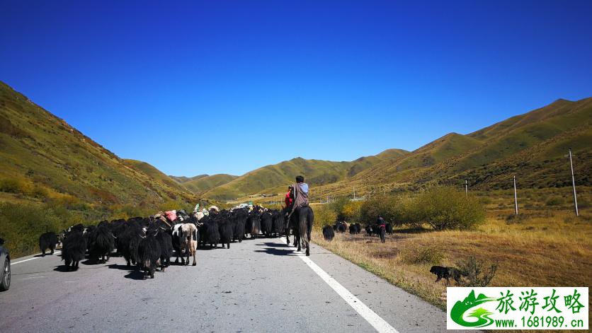 永济未来15天天气预报 15天天气预报准确率多高