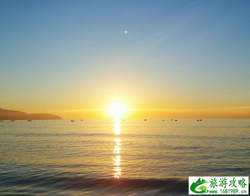 巩俐老公米歇尔个人资料