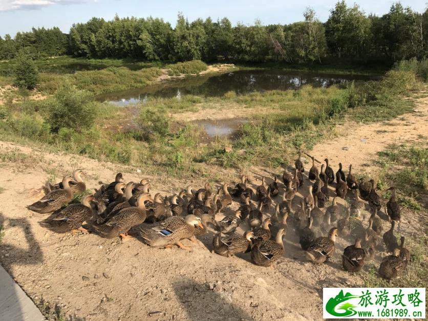 海南三亚气温(海南三亚气温最近15天查询电话)