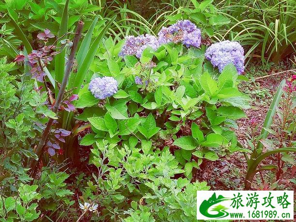 杭州哪里配眼镜便宜