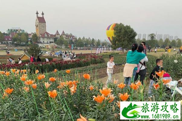 到新马泰旅游那个团好(新马泰旅游跟团)