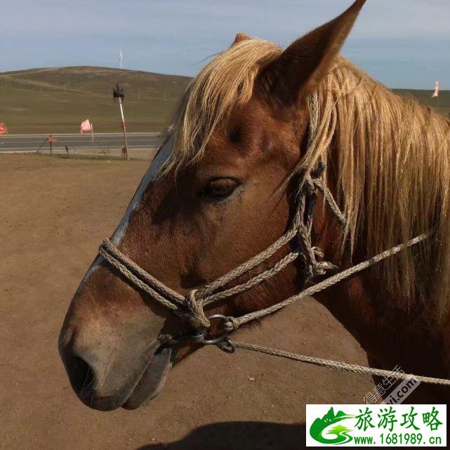 未来15天巫溪天气预报 天气预报15天查询