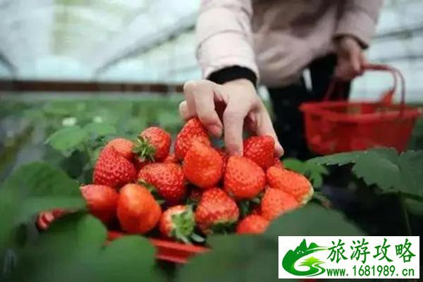 青浦区哪里最繁华(青浦区哪里最繁华的地方) 青浦区哪里最繁华(青浦区哪里最繁华的地方)
