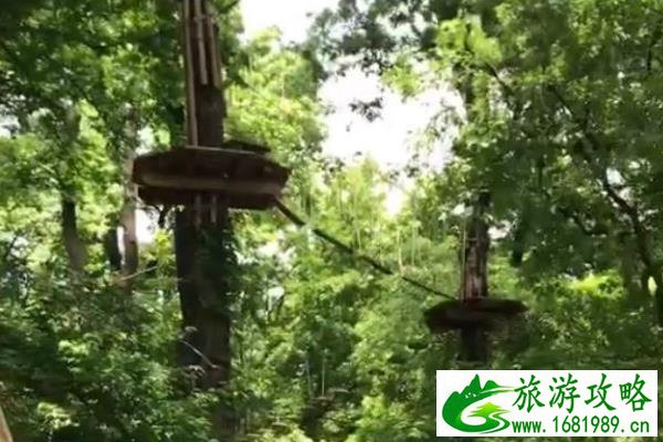 做旅游攻略用什么软件排版好_做旅游攻略用什么软件排版好呢 做旅游攻略用什么软件排版好_做旅游攻略用什么软件排版好呢
