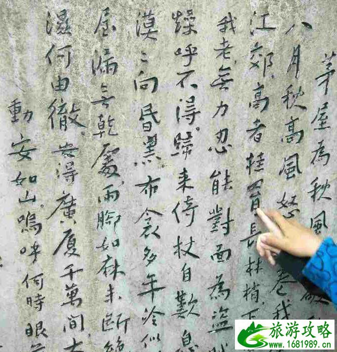 海南自助游攻略(海南自助游攻略旅游)