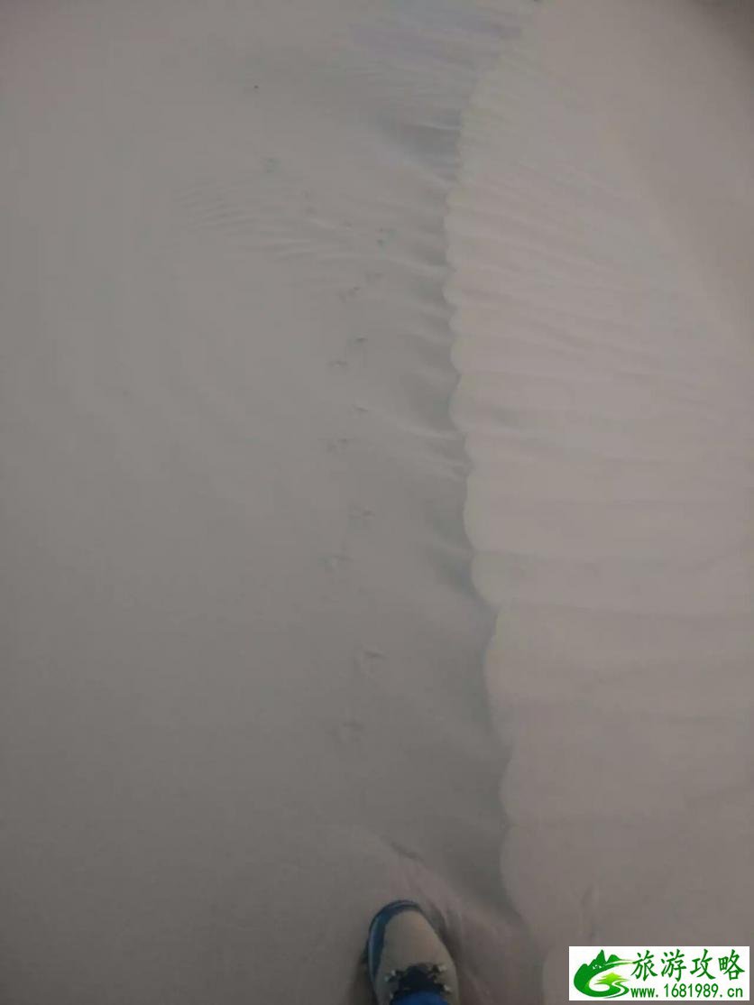 廉江市有什么旅游(廉江市有哪些旅游景点)