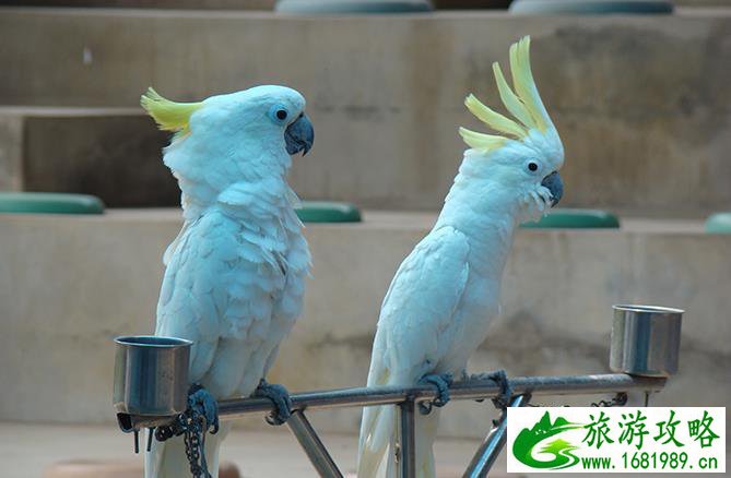 从廊坊去西安旅游路线(廊坊到西安自驾经过的景点)