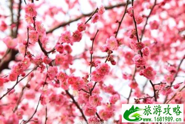 凤凰汇购物中心(凤凰汇购物中心有哪些品牌)