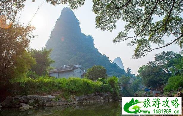 杨幂个人资料有多少粉丝 杨幂个人资料有多少粉丝