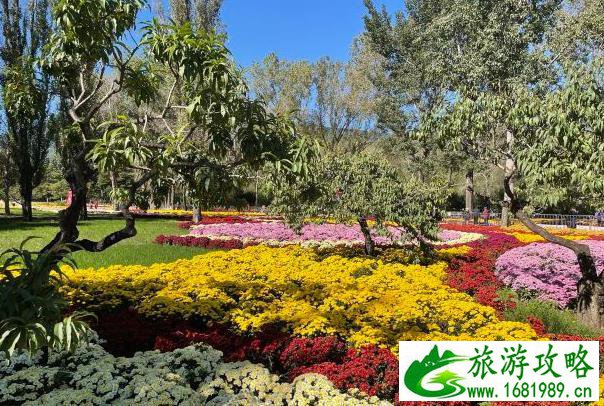 南社明清古村落门票价格(东莞茶山南社明清古村落)