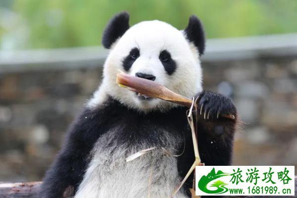 去大理玩一趟大概要多少钱(去一趟云南大