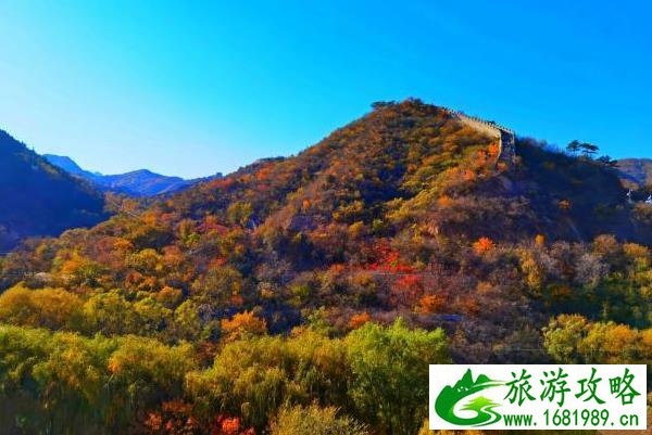 圆明园遗址公园庙会有哪些游戏_圆明园遗址公园庙会