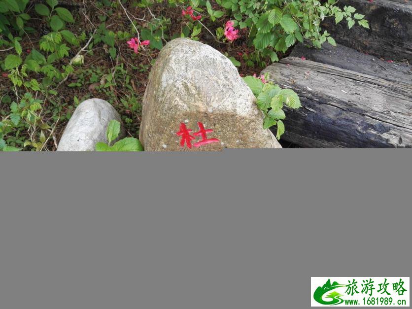 青岛即墨天气(青岛即墨天气预报15天)