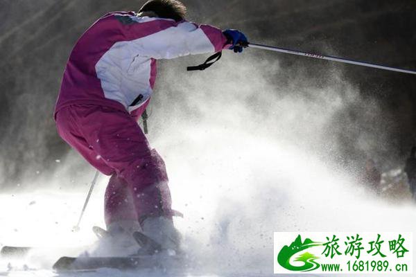 温哥华女王公园的樱花树年龄_温哥华樱花节