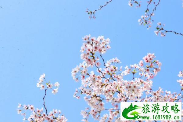 陵水海韵广场(陵水海韵广场的衣服贵不贵)