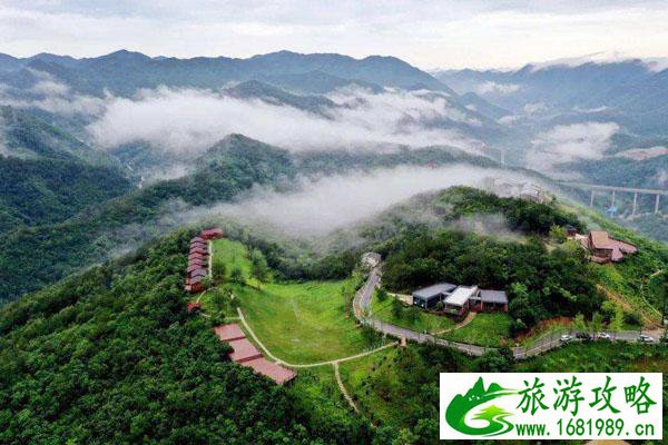 董洁与王大治怎么回事