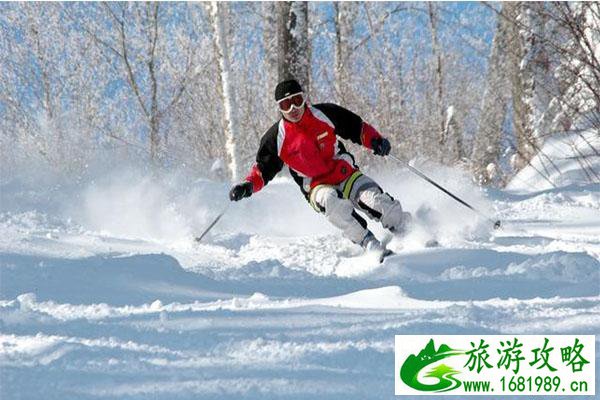 木子脸适合什么短发(大饼脸适合什么短发) 木子脸适合什么短发(大饼脸适合什么短发)