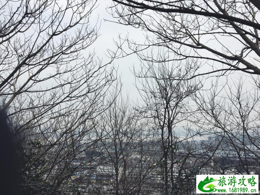 双槐镇未来15天天气预报 贵州百里杜鹃天气15天查询