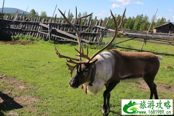 自驾游攻略图册高清_自驾游攻略图册高清大图