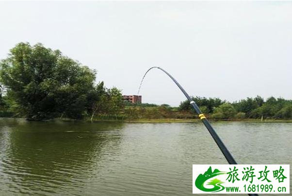 义工旅游网(世界义工青年旅行网)