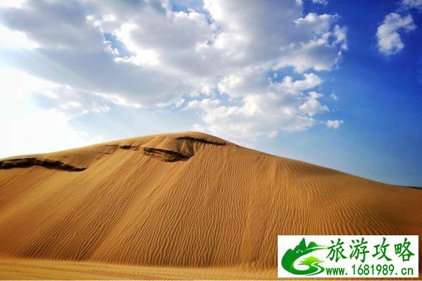 为什么说宋慧乔挺过来了