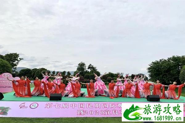 厦门适合骑车的地方(厦门适合带孩子去玩的地方推荐)