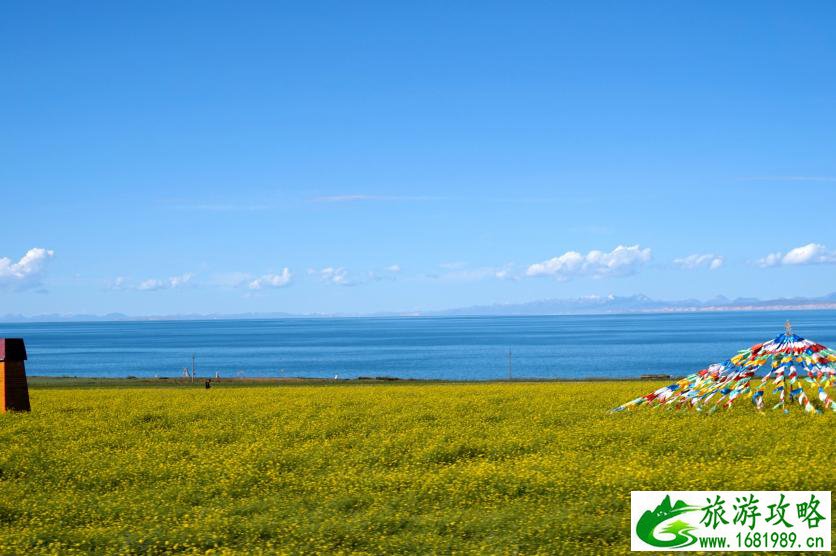 南京适合情侣去的地方(南京适合情侣去的地方攻略)