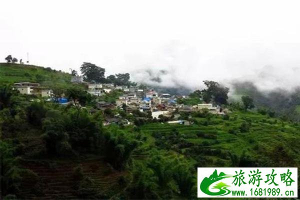 王馥荔儿子王骁演过什么