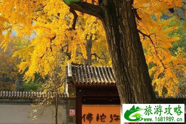 冬天欧洲哪些国家适合旅游(圣诞节欧洲哪