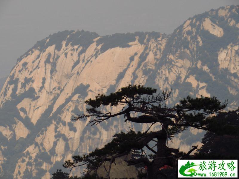 四川攀枝花旅游报名(攀枝花旅游网)