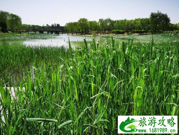 在澳洲注册旅游公司(怎么在澳洲开公司注册)